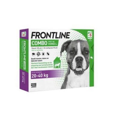 Frontline